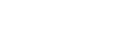 Roberto Picchizzolu Consulting